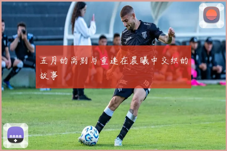 五月的离别与重逢在晨曦中交织的故事
