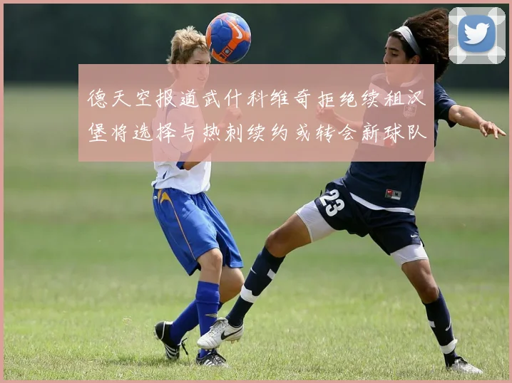 德天空报道武什科维奇拒绝续租汉堡将选择与热刺续约或转会新球队