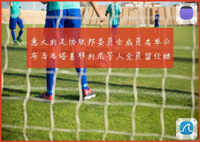 意大利足协联邦委员会成员名单公布马洛塔基耶利尼等人全员留任继续服务